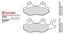 Brzdové desky Brembo - BRM 07033