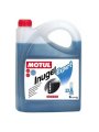 MOTUL INUGEL EXPERT 37°C 5L